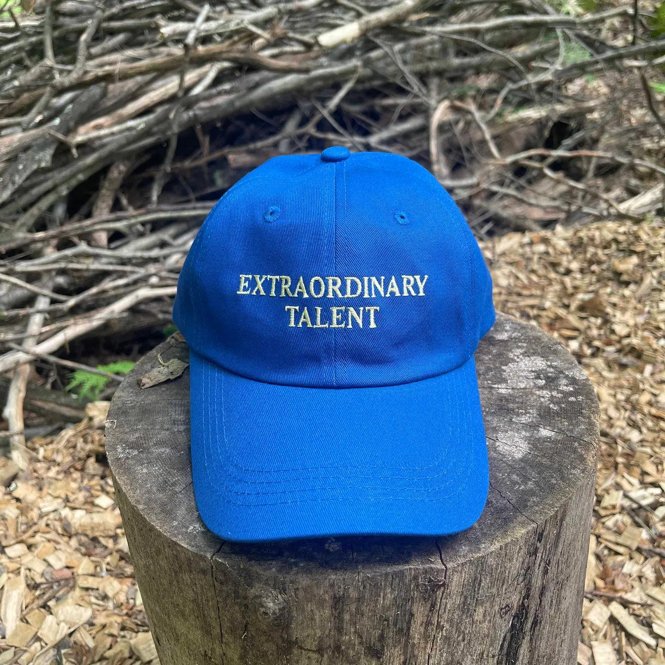 Extraordinary Talent Baseball Cap