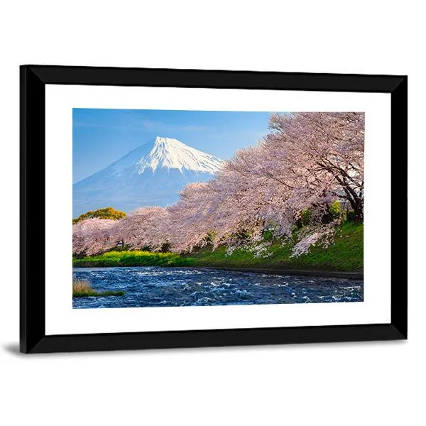 Fuji & Sakura At River Canvas Wall Art