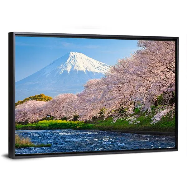 Fuji & Sakura At River Canvas Wall Art
